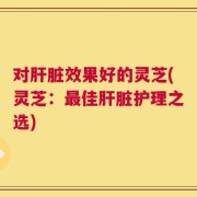 对肝脏效果好的灵芝(灵芝：最佳肝脏护理之选)