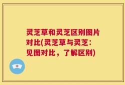 灵芝草和灵芝区别图片对比(灵芝草与灵芝：见图对比，了解区别)