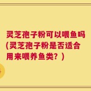 灵芝孢子粉可以喂鱼吗(灵芝孢子粉是否适合用来喂养鱼类？)