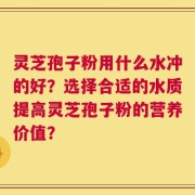 灵芝孢子粉用什么水冲的好？选择合适的水质提高灵芝孢子粉的营养价值？
