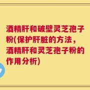 酒精肝和破壁灵芝孢子粉(保护肝脏的方法，酒精肝和灵芝孢子粉的作用分析)