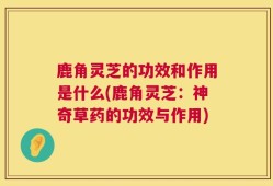 鹿角灵芝的功效和作用是什么(鹿角灵芝：神奇草药的功效与作用)