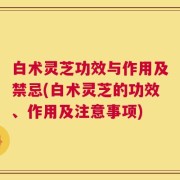 白术灵芝功效与作用及禁忌(白术灵芝的功效、作用及注意事项)