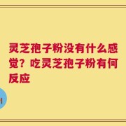 灵芝孢子粉没有什么感觉？吃灵芝孢子粉有何反应