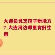 大连卖灵芝孢子粉地方？大连周边哪里有野生菌