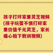 孩子打坏家里灵芝视频(孩子玩耍不慎打碎家里价值千元灵芝，家长痛心拍下教训视频)