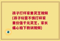 孩子打坏家里灵芝视频(孩子玩耍不慎打碎家里价值千元灵芝，家长痛心拍下教训视频)