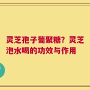 灵芝孢子葡聚糖？灵芝泡水喝的功效与作用