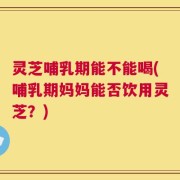 灵芝哺乳期能不能喝(哺乳期妈妈能否饮用灵芝？)