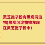 灵芝孢子粉有黑炭沉淀物(黑炭沉淀物被发现在灵芝孢子粉中)