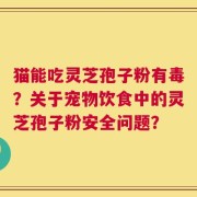 猫能吃灵芝孢子粉有毒？关于宠物饮食中的灵芝孢子粉安全问题？