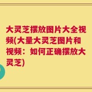 大灵芝摆放图片大全视频(大量大灵芝图片和视频：如何正确摆放大灵芝)