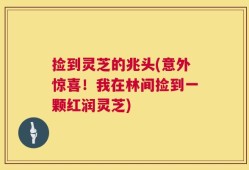 捡到灵芝的兆头(意外惊喜！我在林间捡到一颗红润灵芝)