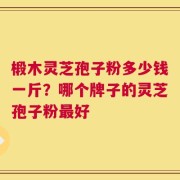 椴木灵芝孢子粉多少钱一斤？哪个牌子的灵芝孢子粉最好