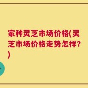 家种灵芝市场价格(灵芝市场价格走势怎样？)