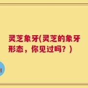 灵芝象牙(灵芝的象牙形态，你见过吗？)