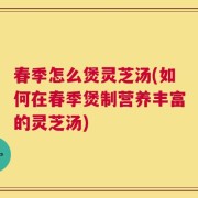 春季怎么煲灵芝汤(如何在春季煲制营养丰富的灵芝汤)