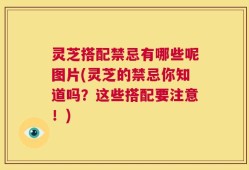 灵芝搭配禁忌有哪些呢图片(灵芝的禁忌你知道吗？这些搭配要注意！)