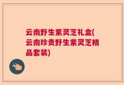 云南野生紫灵芝礼盒(云南珍贵野生紫灵芝精品套装)