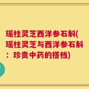 瑶柱灵芝西洋参石斛(瑶柱灵芝与西洋参石斛：珍贵中药的搭档)