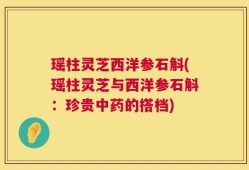 瑶柱灵芝西洋参石斛(瑶柱灵芝与西洋参石斛：珍贵中药的搭档)