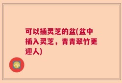 可以插灵芝的盆(盆中插入灵芝，青青翠竹更迎人)