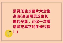 黑灵芝生长图片大全集高清(高清黑灵芝生长图片全集，让你一次看清灵芝真正的生长过程！)