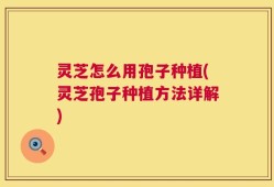 灵芝怎么用孢子种植(灵芝孢子种植方法详解)