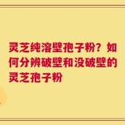 灵芝纯溶壁孢子粉？如何分辨破壁和没破壁的灵芝孢子粉