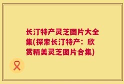 长汀特产灵芝图片大全集(探索长汀特产：欣赏精美灵芝图片合集)