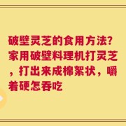 破壁灵芝的食用方法？家用破壁料理机打灵芝，打出来成棉絮状，嚼着硬怎吞吃