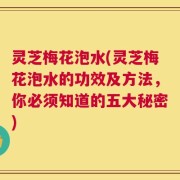 灵芝梅花泡水(灵芝梅花泡水的功效及方法，你必须知道的五大秘密)