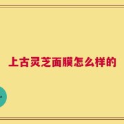 上古灵芝面膜怎么样的