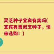 灵芝种子宜宾有卖吗(宜宾有售灵芝种子，快来选购！)