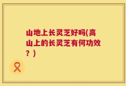 山地上长灵芝好吗(高山上的长灵芝有何功效？)