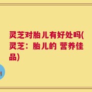 灵芝对胎儿有好处吗(灵芝：胎儿的 营养佳品)