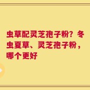 虫草配灵芝孢子粉？冬虫夏草、灵芝孢子粉，哪个更好