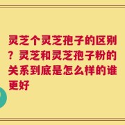 灵芝个灵芝孢子的区别？灵芝和灵芝孢子粉的关系到底是怎么样的谁更好