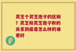 灵芝个灵芝孢子的区别？灵芝和灵芝孢子粉的关系到底是怎么样的谁更好