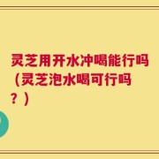 灵芝用开水冲喝能行吗 (灵芝泡水喝可行吗？)