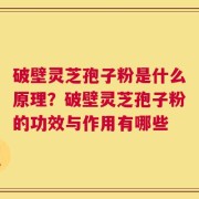 破壁灵芝孢子粉是什么原理？破壁灵芝孢子粉的功效与作用有哪些