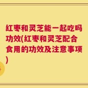 红枣和灵芝能一起吃吗功效(红枣和灵芝配合食用的功效及注意事项)