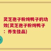灵芝孢子粉炖鸭子的功效(灵芝孢子粉炖鸭子：养生佳品)