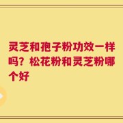 灵芝和孢子粉功效一样吗？松花粉和灵芝粉哪个好