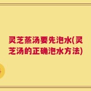 灵芝蒸汤要先泡水(灵芝汤的正确泡水方法)