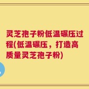灵芝孢子粉低温碾压过程(低温碾压，打造高质量灵芝孢子粉)