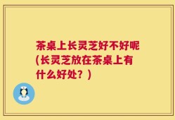 茶桌上长灵芝好不好呢(长灵芝放在茶桌上有什么好处？)