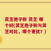 灵芝孢子粉 灵芝 哪个好(灵芝孢子粉与灵芝对比，哪个更优？)