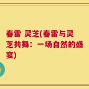 春雷 灵芝(春雷与灵芝共舞：一场自然的盛宴)