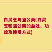 白灵芝与蒲公英(白灵芝和蒲公英的益处、功效及使用方式)